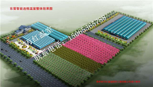東營智能(néng)買連棟溫室整體(tǐ)效果圖