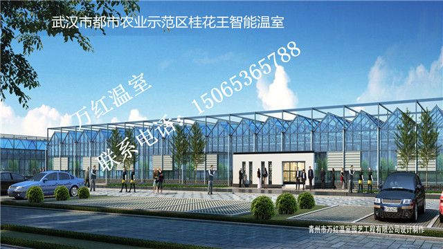 武漢市都市農業示範區(qū)桂花(huā)王智能(néng)溫室