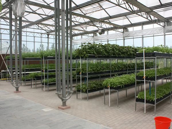 多段多层密式栽培
