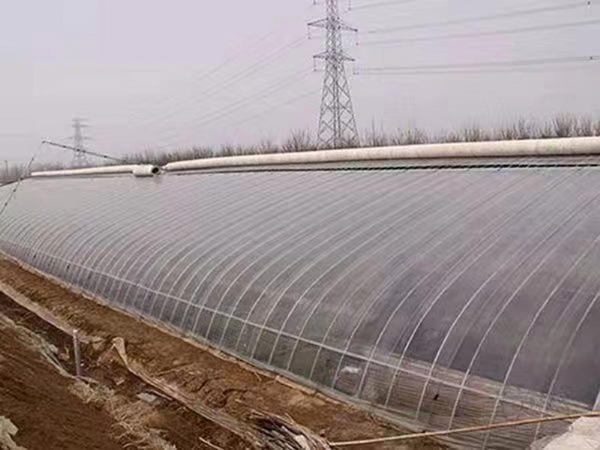 微信图片_20220425154527