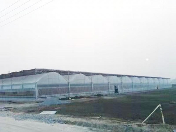 微信图片_20220425154806