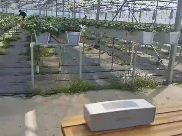 微信图片_20220425154456