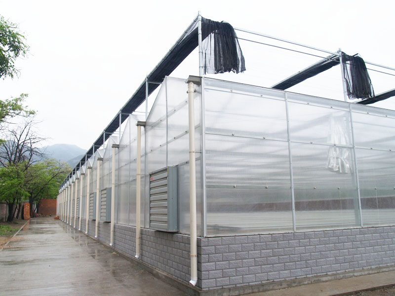 阳光板（pc板)温室